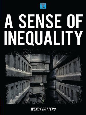 cover image of A Sense of Inequality